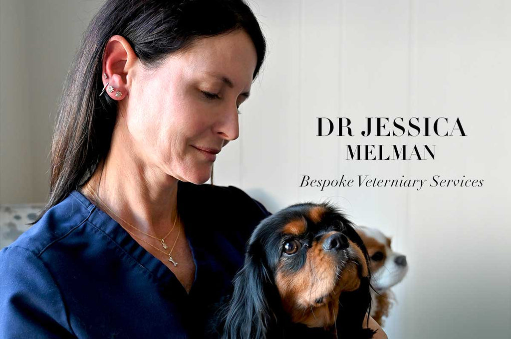 JL Rocks’ A Day in The Life with Dr Jessica Melman